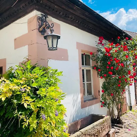 Altes Kutschhaus Daire